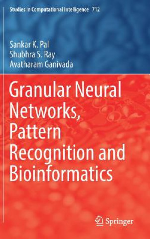 Granular Neural Networks, Pattern Recognition and Bioinformatics