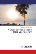 A Clean Environment by Flare Gas Recovery