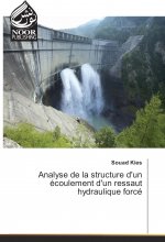 Analyse de la structure d'un écoulement d'un ressaut hydraulique forcé