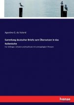 Sammlung deutscher Briefe zum UEbersetzen in das Italienische