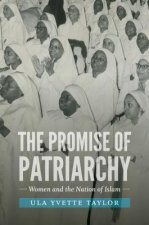 Promise of Patriarchy