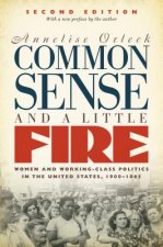 Common Sense and a Little Fire: Women and Working-Class Politics in the United States, 1900-1965
