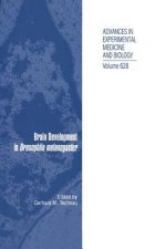 Brain Development in Drosophila melanogaster