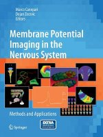 Membrane Potential Imaging in the Nervous System
