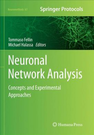 Neuronal Network Analysis