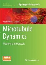 Microtubule Dynamics