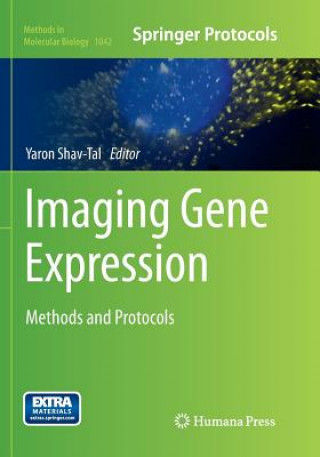Imaging Gene Expression