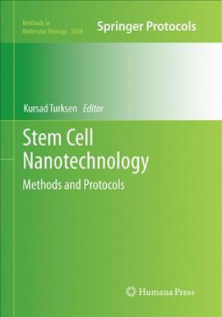 Stem Cell Nanotechnology