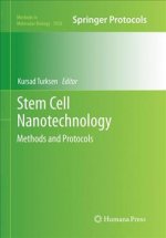 Stem Cell Nanotechnology