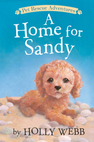 Home for Sandy