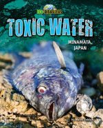 Toxic Water: Minamata, Japan