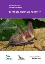 Fledermäuse in Norddeutschland