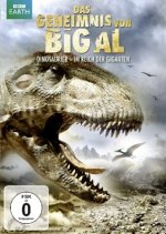 Das Geheimnis von Big Al, 1 DVD