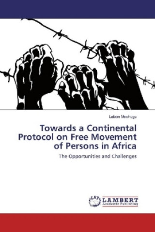 Towards a Continental Protocol on Free Movement of Persons in Africa