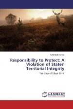 Responsibility to Protect: A Violation of States' Territorial Integrity