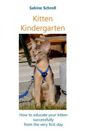 Kitten Kindergarten
