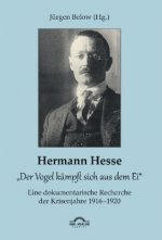 Hermann Hesse: 