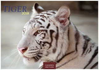 Tiger 2018