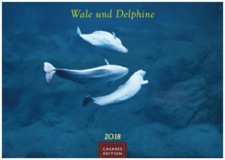 Wale und Delphine 2018