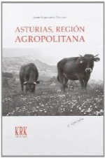 Asturias, región agropolitana : las relaciones campo-ciudad en la sociedad posindustrial