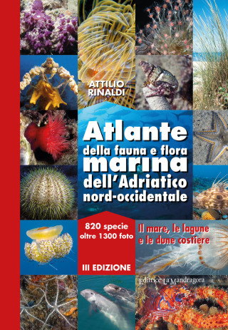 Atlante della fauna e flora marina dell'Adriatico nord-occidentale