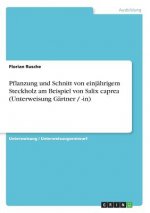 Pflanzung und Schnitt von einjährigem Steckholz am Beispiel von Salix caprea (Unterweisung Gärtner / -in)