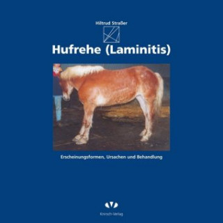 Hufrehe (Laminitis)