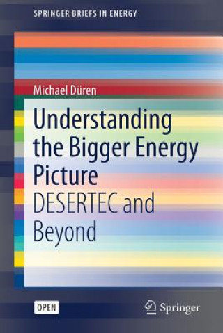 Understanding the Bigger Energy Picture