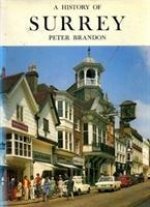 History of Surrey
