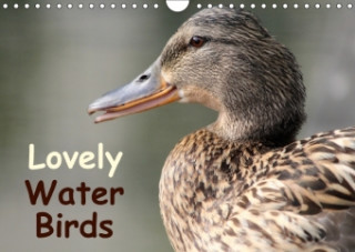 Lovely Water Birds 2018