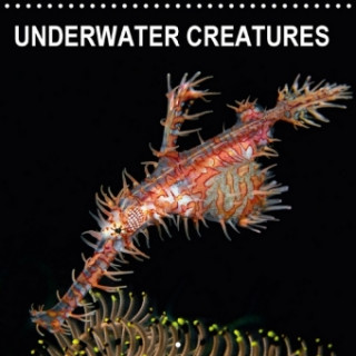 Underwater Creatures 2018