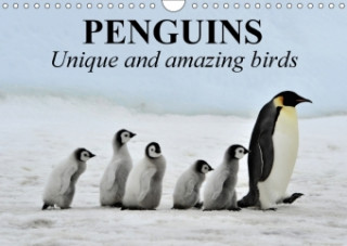 Penguins Unique and Amazing Birds 2018