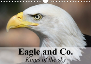 Eagle and Co. Kings of the Sky 2018