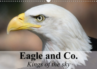 Eagle and Co. Kings of the Sky 2018