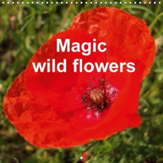 Magic Wild Flowers 2018