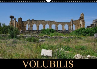 Volubilis 2018