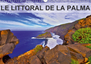 Littoral De La Palma 2018