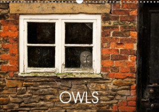 Owls 2018