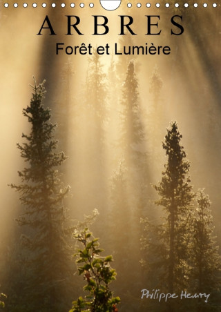 Arbres. Foret Et Lumiere 2018