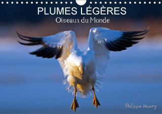 Plumes Legeres. Oiseaux Du Monde 2018