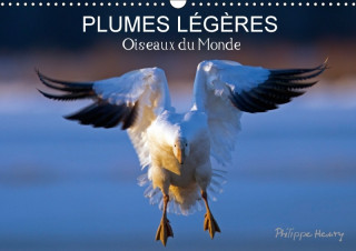 Plumes Legeres. Oiseaux Du Monde 2018