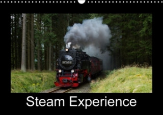 Steam Experience 2018