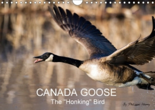 Canada Goose / UK-Version 2018