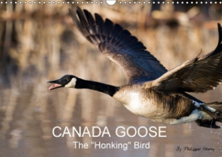 Canada Goose / UK-Version 2018