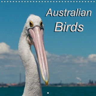 Australian Birds 2018