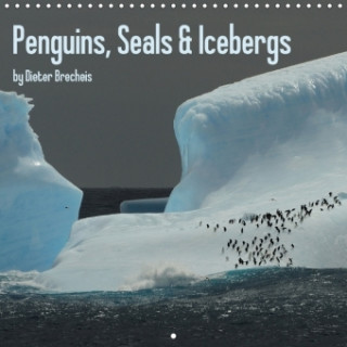 Penguins, Seals & Icebergs by Dieter Brecheis 2018