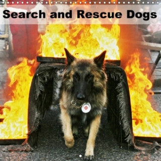 Search and Rescue Dogs 2018
