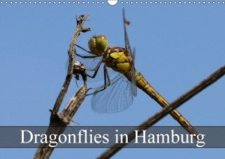 Dragonflies in Hamburg 2018
