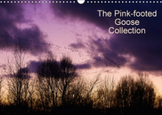 Pinkfoot Goose Collection 2018