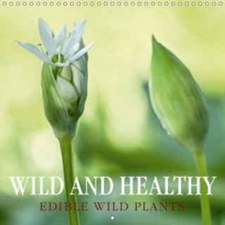 Wild and Healthy Edible Wild Plants 2018